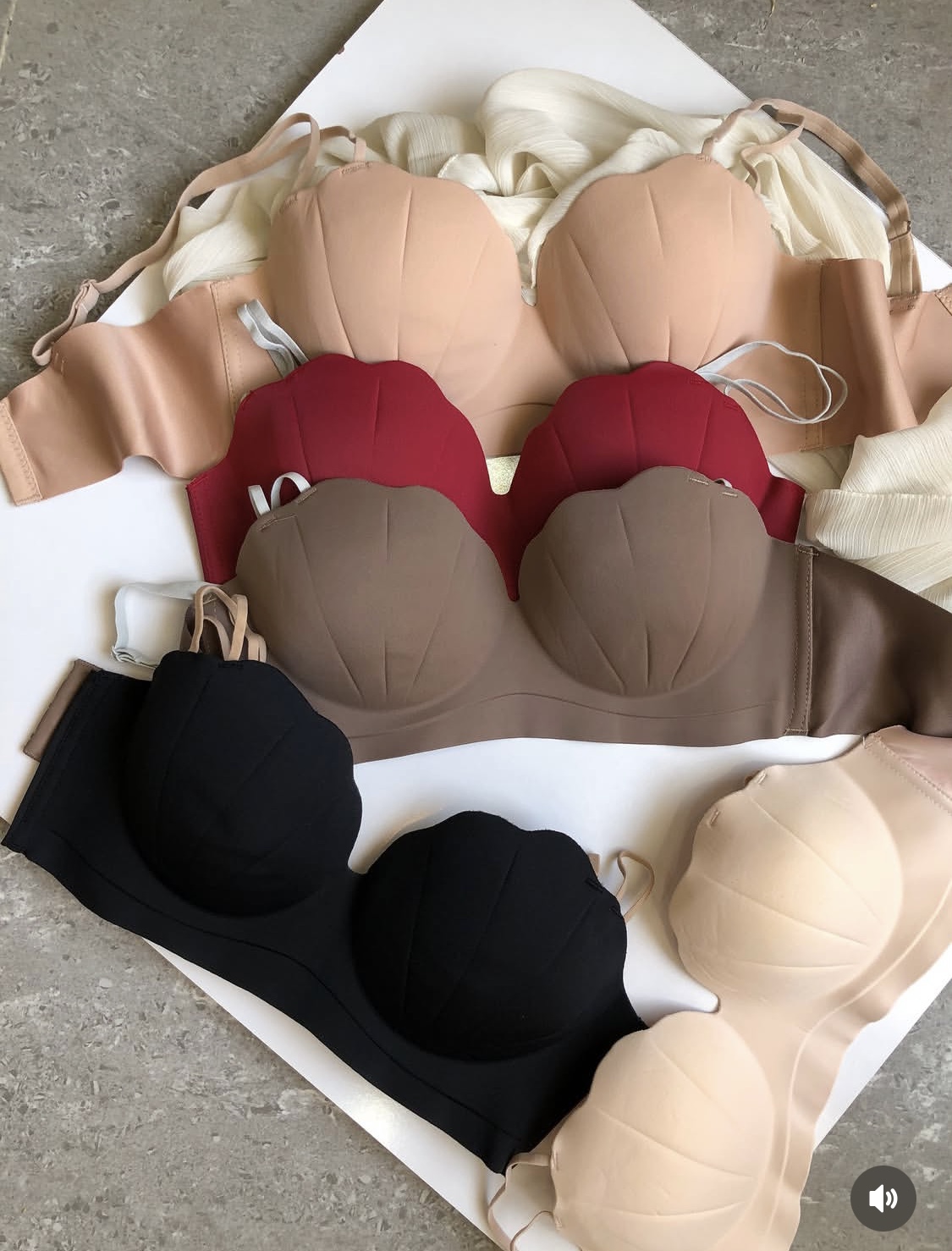 سوتین تک صدفی